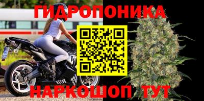 сатива Татарск