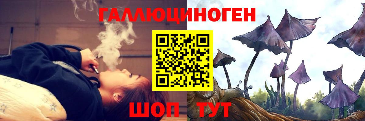 Осинники  Галлюциногенные грибы Cubensis  Псилоцибиновые грибы ЛСД  купить наркотики цена  Вход с VPN 