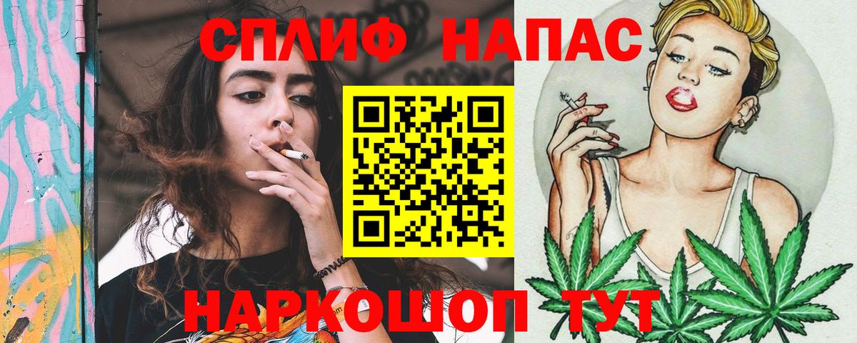 Каннабис сатива Осинники